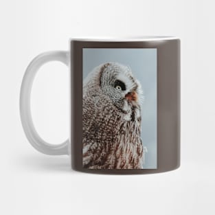 Owl portrait Mug